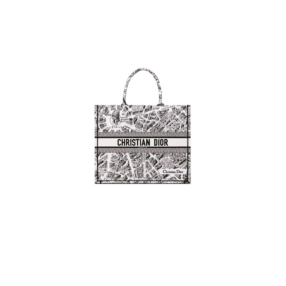 LARGE DIOR BOOK TOTE