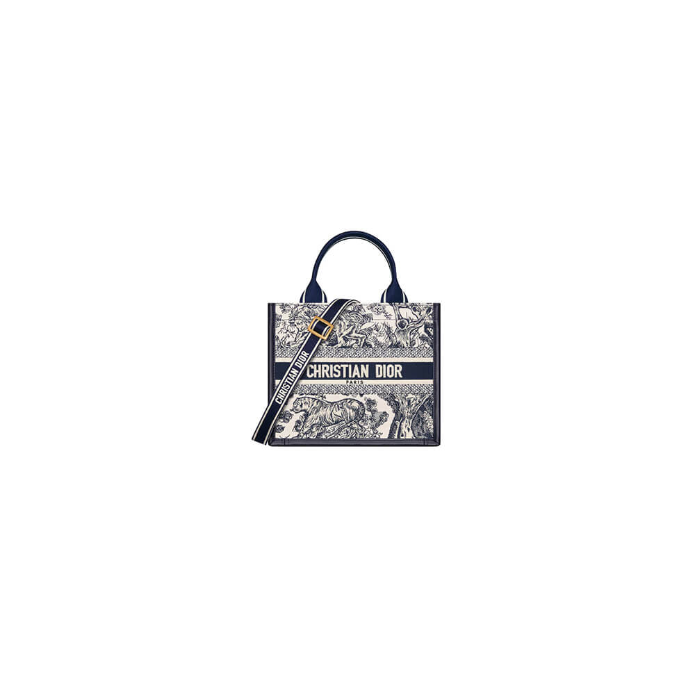 Small Dior Book Tote