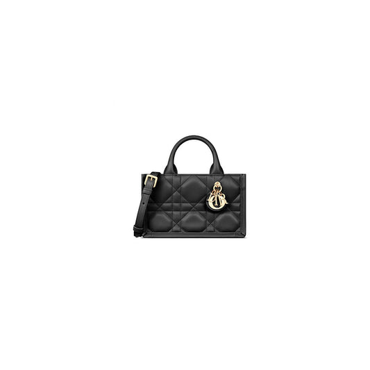 Mini Dior Book Tote