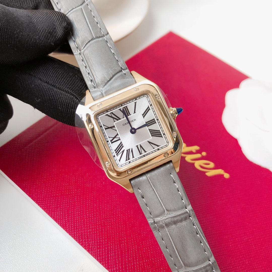 Santos Demoisell - Stainless Steel Mini - Grey Gold(1:1 replica)