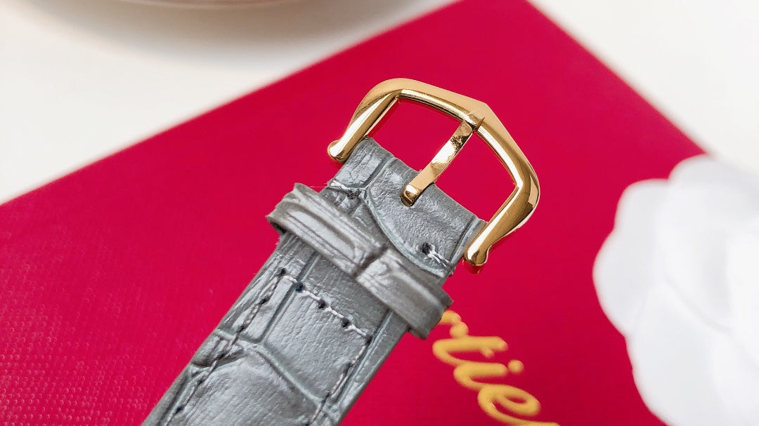 Santos Demoisell - Stainless Steel Mini - Grey Gold(1:1 replica)
